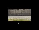 初投稿