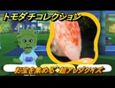 トモダチコレクション　お宝を集める　超アップクイズ　島の住人観察日記（ポケモン編）　＃７３８　【トモコレわくわく生活】