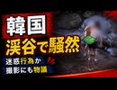 全裸で水遊びする姿が韓国で目撃され物議に...｢変な人が溢れてる｣ネット騒然
