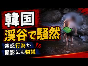 全裸で水遊びする姿が韓国で目撃され物議に...｢変な人が溢れてる｣ネット騒然