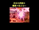 【EXVS2IB】自分の武装の爆風で見えない