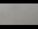 2026_0609_191453_449ちゃんに顔丸いって連投したらNG入れられたwww
