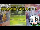 懐かしのポケカが出てきたので査定額を見て夢を見ます