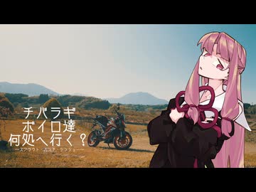 チバラギボイロ達何処へ行く？～スプラウト・ハンチ・シンシュー～