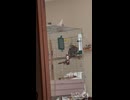 インコのおしゃべりで目覚める幸せ