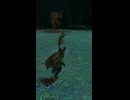 【ティアキン】ギタハラカの根付近のスタルヒノックス　ゼルダの伝説ティアーズオブザキングダム #ゼルダの伝説 #ティアキン #zelda