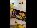 毎日ポケカ開封43日目