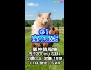 【馬番発表後2番目位に早い競馬予想】ＧⅠ #宝塚記念AIみかん予想担当は栽培マン.cocoんco.きのこ.の推奨馬3頭で好配当的中目指します《#競馬楽部LOVE》通算Vol.435