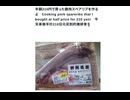 半額210円豚肉スペアリブを作るよ　Cooking pork spareribs that I bought at half price for 210 yen!　今天来做半价210日元买到的猪排骨！