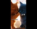 季節を感じるアレ