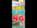 【ついやっちゃう】ドアポケットに卵・牛乳は良くない？【CeVIO AI 花隈千冬】