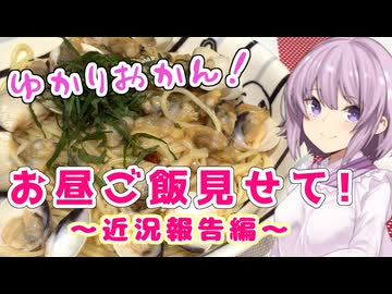 ゆかりおかんお昼ご飯見せて！～近況報告編～