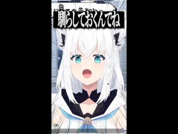 『フブちゃん洗脳計画』を着々と進めるおかゆん 【ホロライブ切り抜き/ホロライブ/猫又おかゆ/白上フブキ 】