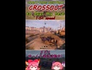 crossout　some days my best(7