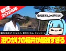【神キャンペーン】実質宿泊0円にも！？福井に泊まろう！「いいとこ、掘りだくさん。」キャンペーンがヤバすぎた【ボイスロイド解説】