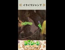 Yoshi and the Mysterious Book　Hop or Drop