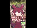収穫が楽しみすぎる家庭菜園