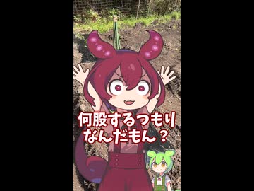 収穫が楽しみすぎる家庭菜園