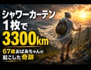 シャワーカーテンいいかもですね　Walking 3,300 km with a Shower Curtain: Grandma Gatewood's Solo Appalachian Trail