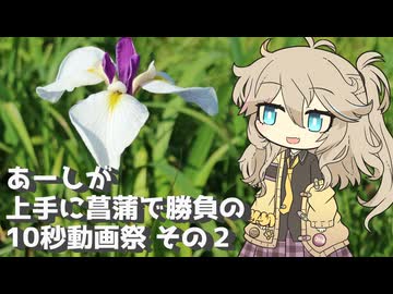 【第六回10秒動画祭】あーしが上手に菖蒲で勝負の10秒動画祭 その２　～埼玉県久喜市菖蒲城趾あやめ園～【VOICEVOX旅行】