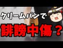 中道議員、いよいよ誹謗中傷動画を提示！