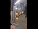ホモと見るバーベルで鏡を割るビルダー