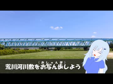 荒川河川敷をお写ん歩（おしゃんぽ）しよう【ソフトウェアトーク旅行?】