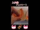 チョコレートで入れ歯を作ってみた！！