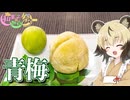 「青梅」手づくりお菓子でちょっとひとやすみしませんか？vol.60 【和菓子動画祭】