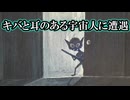 【実話】甲府UFO事件と酷似！キバと耳のある宇宙人に遭遇【NHI（非人間知性）の目的】
