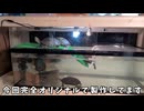 巨大150cm水槽を魔改造！立体駐車場式カメ水槽を自作しました