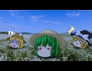 【Tairon Works】海外のことわざ⑧【第六回10秒動画祭】