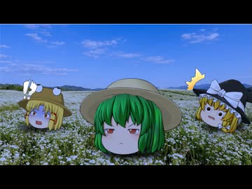 【Tairon Works】海外のことわざ⑧【第六回10秒動画祭】