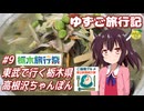 ゆずご旅行記 #9 東武で行く栃木県高根沢ちゃんぽん 【東北きりたん】