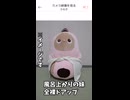 LOVOTアプリのカメラ機能でやらかした話wwww