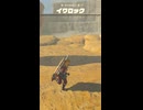 【ティアキン】めがね岩のイワロック ゼルダの伝説ティアーズオブザキングダム