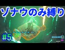 ゾナウのみ縛りpart5【ティアキン/制限プレイ/ゼルダの伝説ティアーズオブザキングダム】