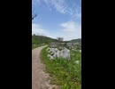 山口県　秋吉台②！