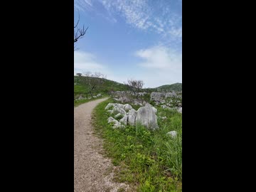 山口県　秋吉台②！