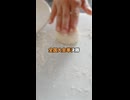 エクストリーム将棋