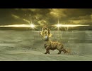 3日でムキムキになって夜の王を打倒しろ！【ELDEN RING NIGHTREIGN】＃49