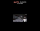 【白上フブキ】謎の敵に遭遇して大絶叫！