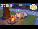【実況】のんびりメタモン生活【ぽこあポケモン】37日目
