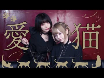 【すぅねこ×水無月リカ】愛猫 踊ってみた【オリジナル振付】