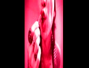 money 感情 / TTbone / 全全力力 綴。