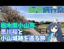 【栃木旅行祭】栃木県小山市・思川桜と小山城跡を巡る旅【双葉湊音】