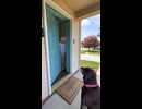 動画第18弾：犬をホースとして使う