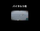 【WoWS】バイタル５枚【World of Warships】