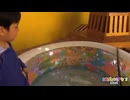 動画第39弾：プールにいる100匹の動物