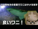 【イワーク】鬼鮫がいるわよ、イワク【ニュージーランド】